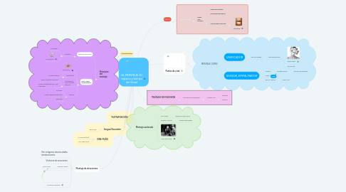 Mind Map: EL MONTAJE (El espacio y tiempo del filme)