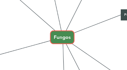 Mind Map: Fungos