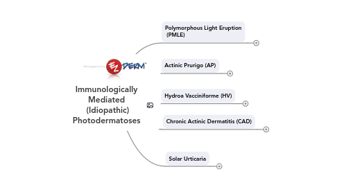 Mind Map: Immunologically Mediated  (Idiopathic) Photodermatoses