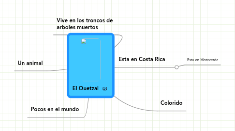 Mind Map: El Quetzal