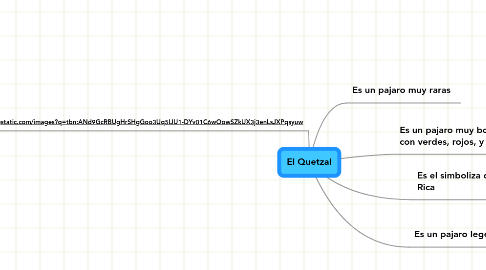 Mind Map: El Quetzal