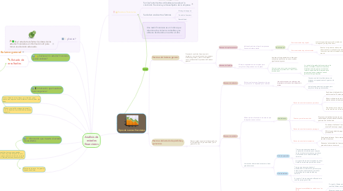 Mind Map: Análisis de estados financieros