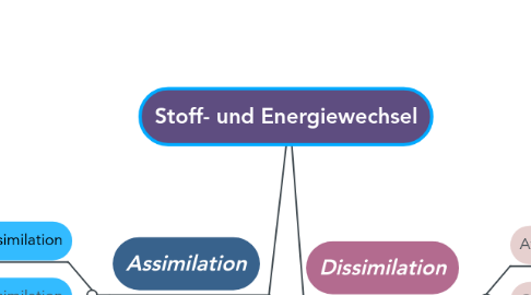 Mind Map: Stoff- und Energiewechsel