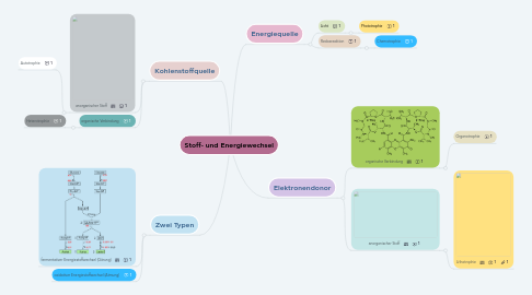 Mind Map: Stoff- und Energiewechsel