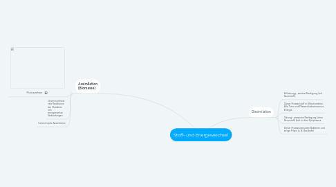 Mind Map: Stoff- und Energiewechsel