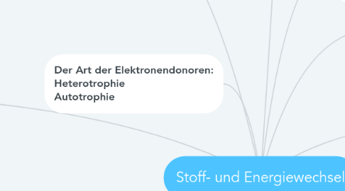 Mind Map: Stoff- und Energiewechsel