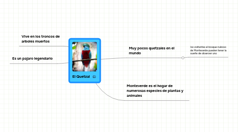 Mind Map: El Quetzal