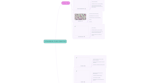 Mind Map: CITOLOGÍA DEL TEJIDO CONECTIVO