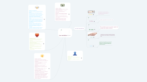 Mind Map: Los sentidos