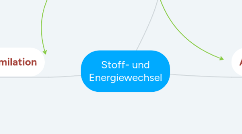 Mind Map: Stoff- und Energiewechsel