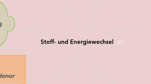 Mind Map: Stoff- und Energiewechsel