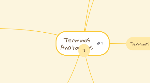 Mind Map: Terminos Anatomicos