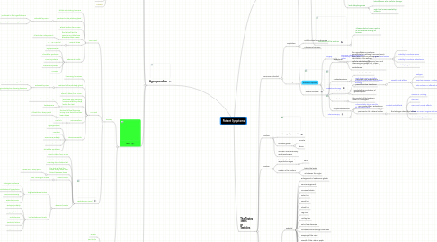 Mind Map: Patient Symptoms