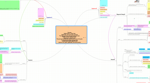 Mind Map: Pancreas A gland about 6 inches long Shaped like a thin pear lying on its side. The wider end of the pancreas is called the head, Middle section is called the body, Narrow end is called the tail. The pancreas lies behind the stomach and in front of the spine. It cannot be felt during a physical exam Located behind other organs like the stomach, liver, spleen, gallbladder, and small intestine.