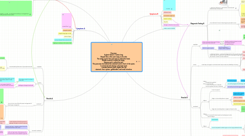 Mind Map: Pancreas A gland about 6 inches long  Shaped like a thin pear lying on its side.  The wider end of the pancreas is called the head,  Middle section is called the body,  Narrow end is called the tail.  The pancreas lies behind the stomach and in front of the spine.  It cannot be felt during a physical exam   Located behind other organs like the  stomach, liver, spleen, gallbladder, and small intestine.