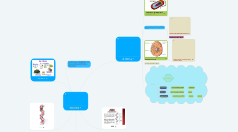 Mind Map: BIOLOGIA