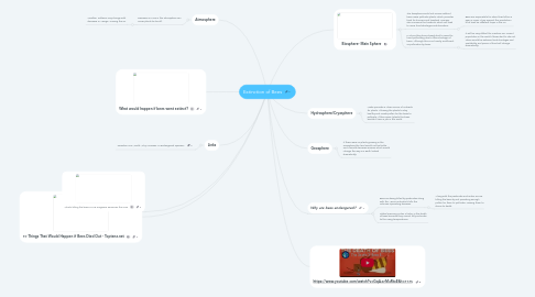 Mind Map: Extinction of Bees