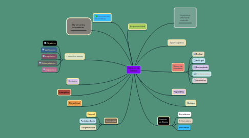 Mind Map: MANEJO DE BIENES