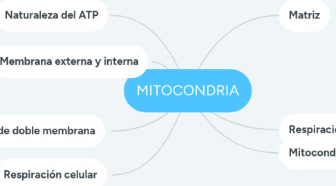 Mind Map: MITOCONDRIA