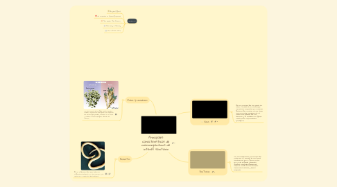 Mind Map: Principales características de microorganismos de interés sanitario