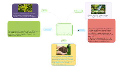 Mind Map: Crecimiento de una Planta