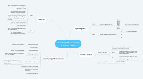 Mind Map: Pruebas para transfusiones en perros y gatos