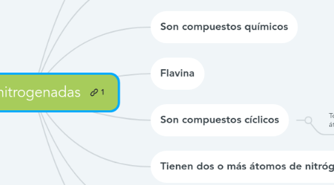 Mind Map: Bases nitrogenadas