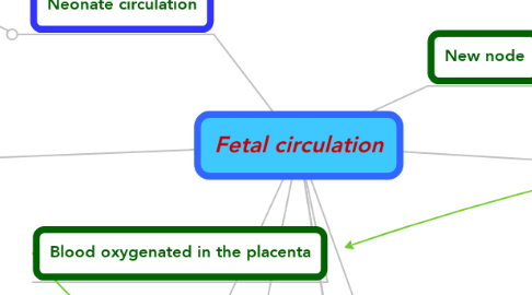 Mind Map: Fetal circulation