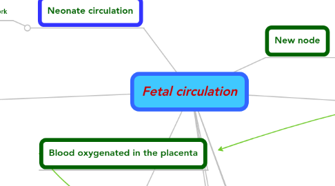 Mind Map: Fetal circulation