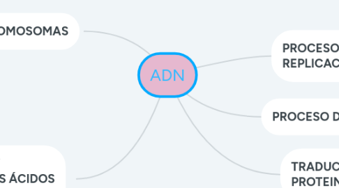 Mind Map: ADN