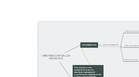 Mind Map: ORGANIZACION DE LOS PROYECTOS