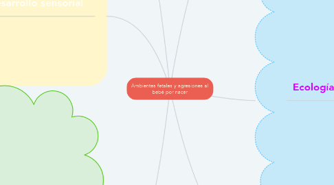 Mind Map: Ambientes fetales y agresiones al bebé por nacer