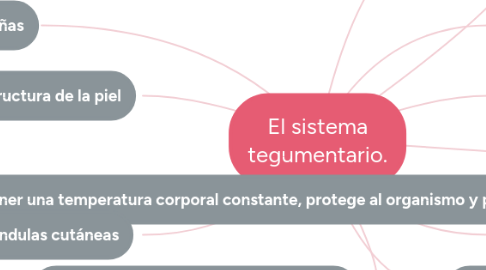 Mind Map: El sistema tegumentario.