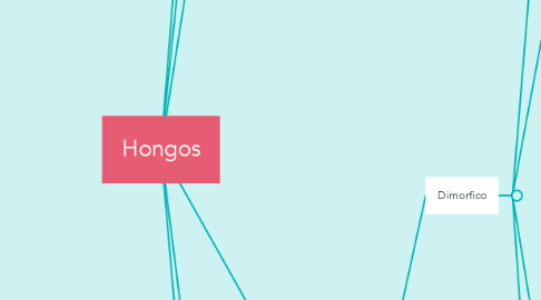Mind Map: Hongos