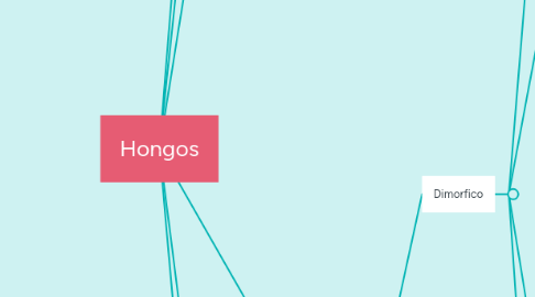Mind Map: Hongos
