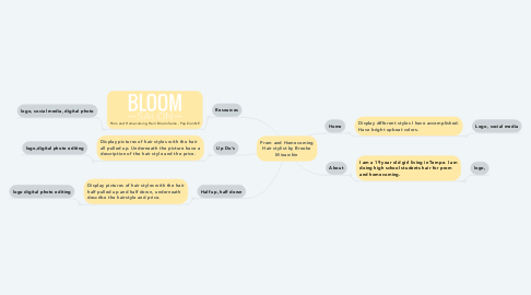 Mind Map: Prom and Homecoming Hair stylist by Brooke Minarchin