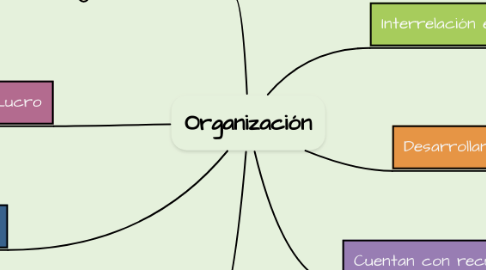 Mind Map: Organización