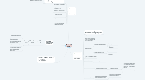 Mind Map: Derecho Civil Familia