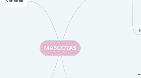 Mind Map: MASCOTAS