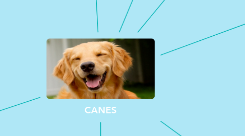 Mind Map: CANES
