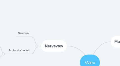 Mind Map: Væv