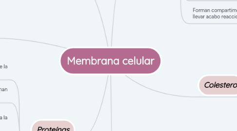 Mind Map: Membrana celular