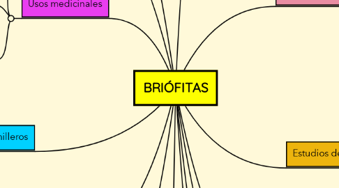 Mind Map: BRIÓFITAS