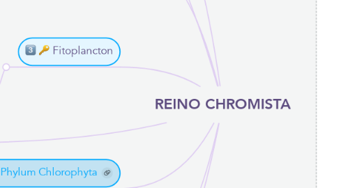 Mind Map: REINO CHROMISTA