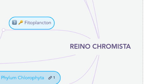 Mind Map: REINO CHROMISTA