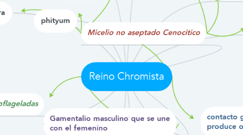 Mind Map: Reino Chromista