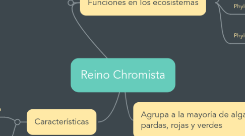 Mind Map: Reino Chromista