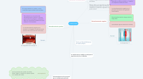 Mind Map: HOMEOSTASIS