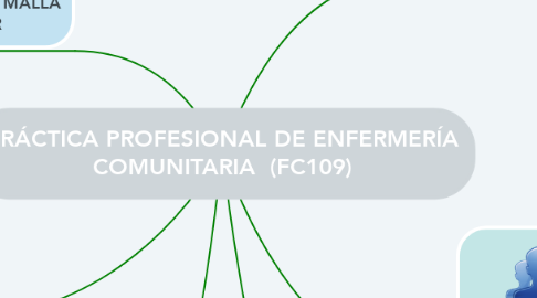 Mind Map: PRÁCTICA PROFESIONAL DE ENFERMERÍA COMUNITARIA  (FC109)