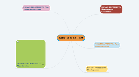 Mind Map: DOMINIO CHROMISTA